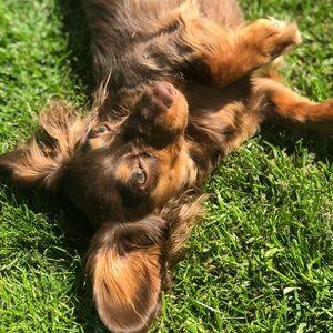 Meet your Posher, Danielle